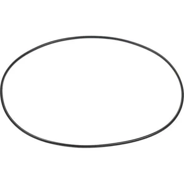 Zamów dziś Pierścień uszczelniający oring Carraro CI028610