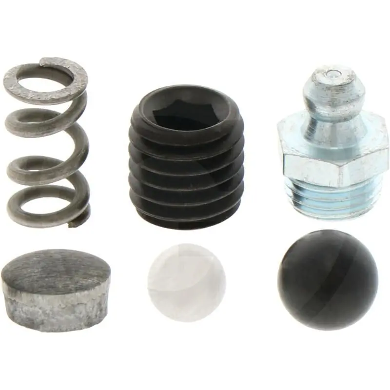 Zamów dziś Śruba ustalająca kpl. HS1700-1KUD-E/21 Sauermann