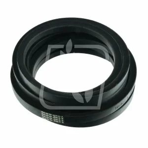 Ekspresowa dostawa Pas 506023 25x5710