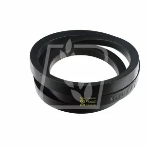 Pas 629410 Claas 22x1600 Agrobelt Kup online