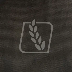 Cena promocyjna Pas płaski P220*15000 220 x 15000.01