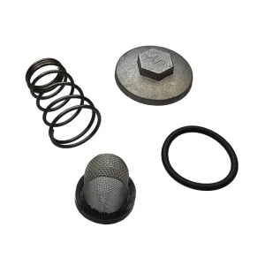 Zamów dziś Korek spustu oleju + filtr oleju do silników GY6 4T