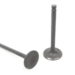 Zawór zawory ssący wydechowy gy6 125 zipp junak Wyjątkowa oferta